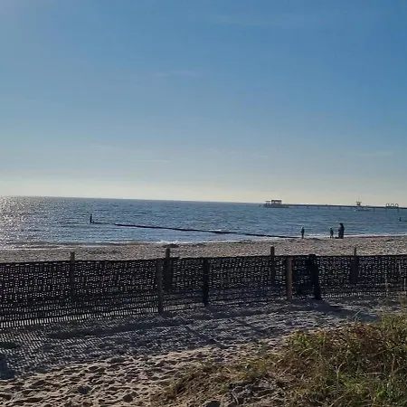 Rosa Canina, W9 * קלנהוזן