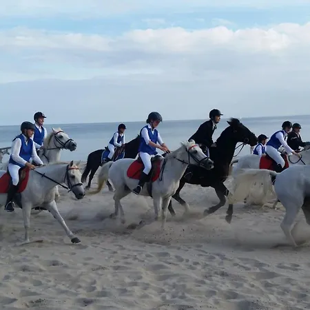 דירה Rosa Canina, W9 *