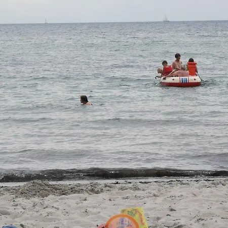 Rosa Canina, W9 קלנהוזן