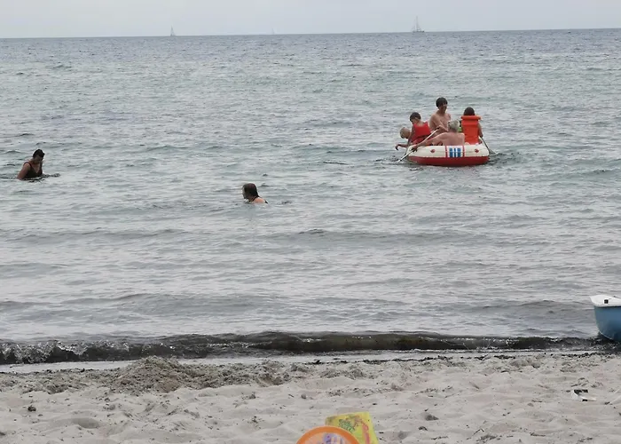 Rosa Canina, W9 Kellenhusen